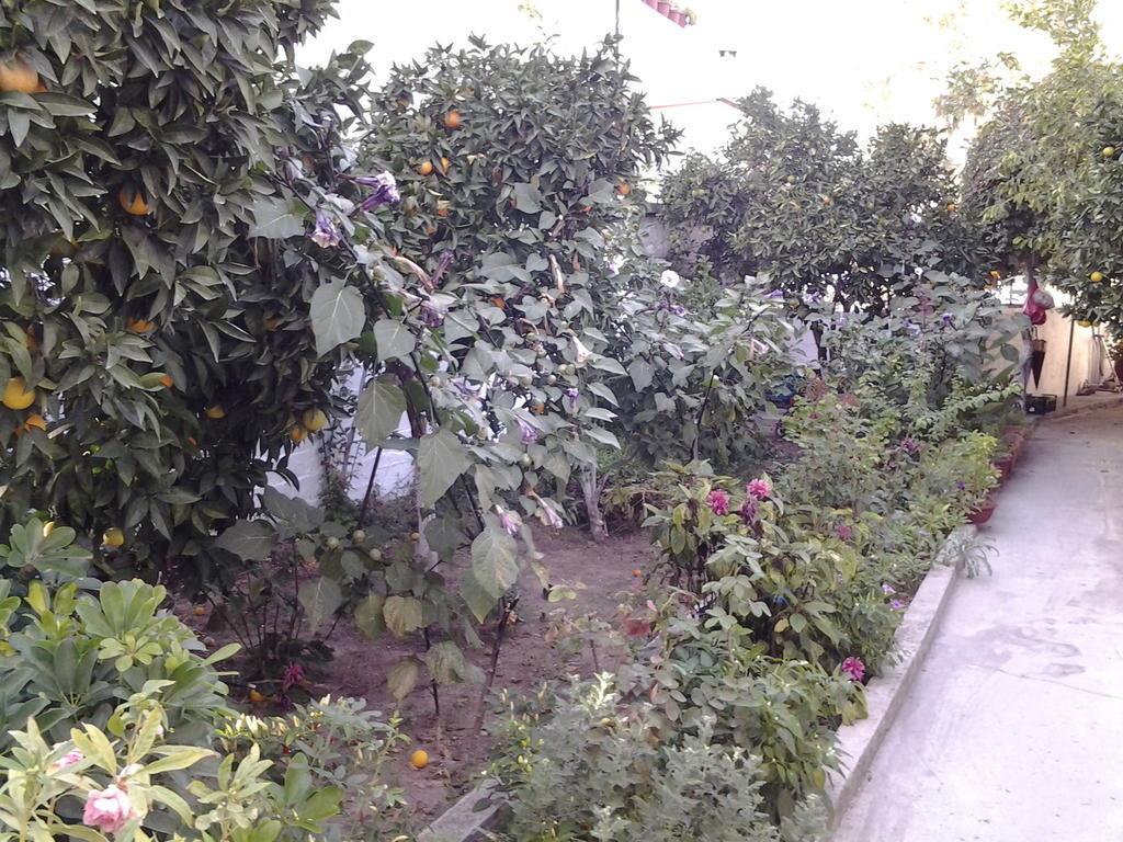 Studios Maro Skala Kallonis Esterno foto
